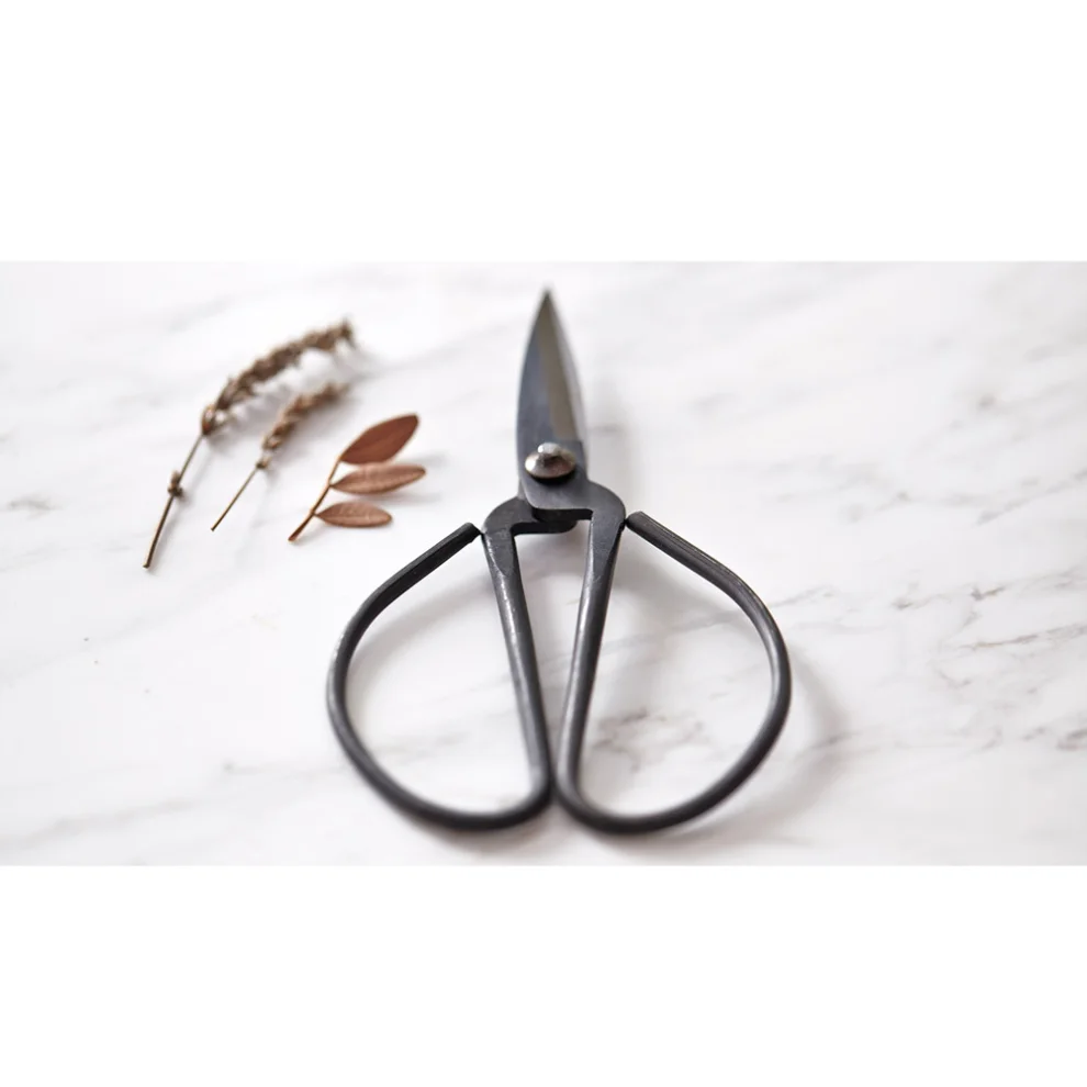 Nice to Have - Scissor: Large