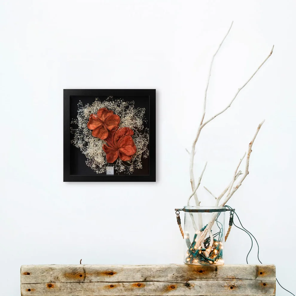 Save The Flowers - Exotic Shells 2 Frame