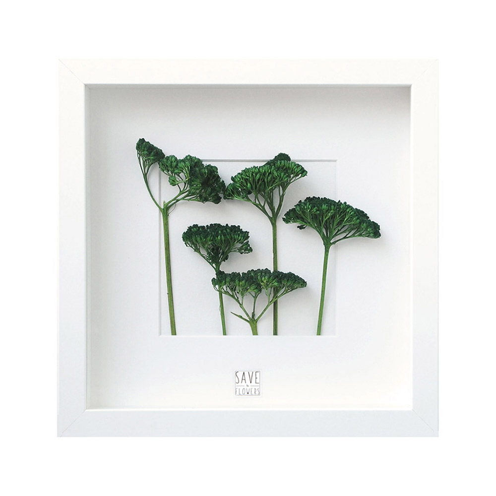 Miniature Forest Frame