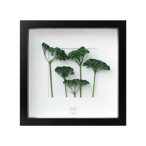 Save The Flowers - Miniature Forest I Frame