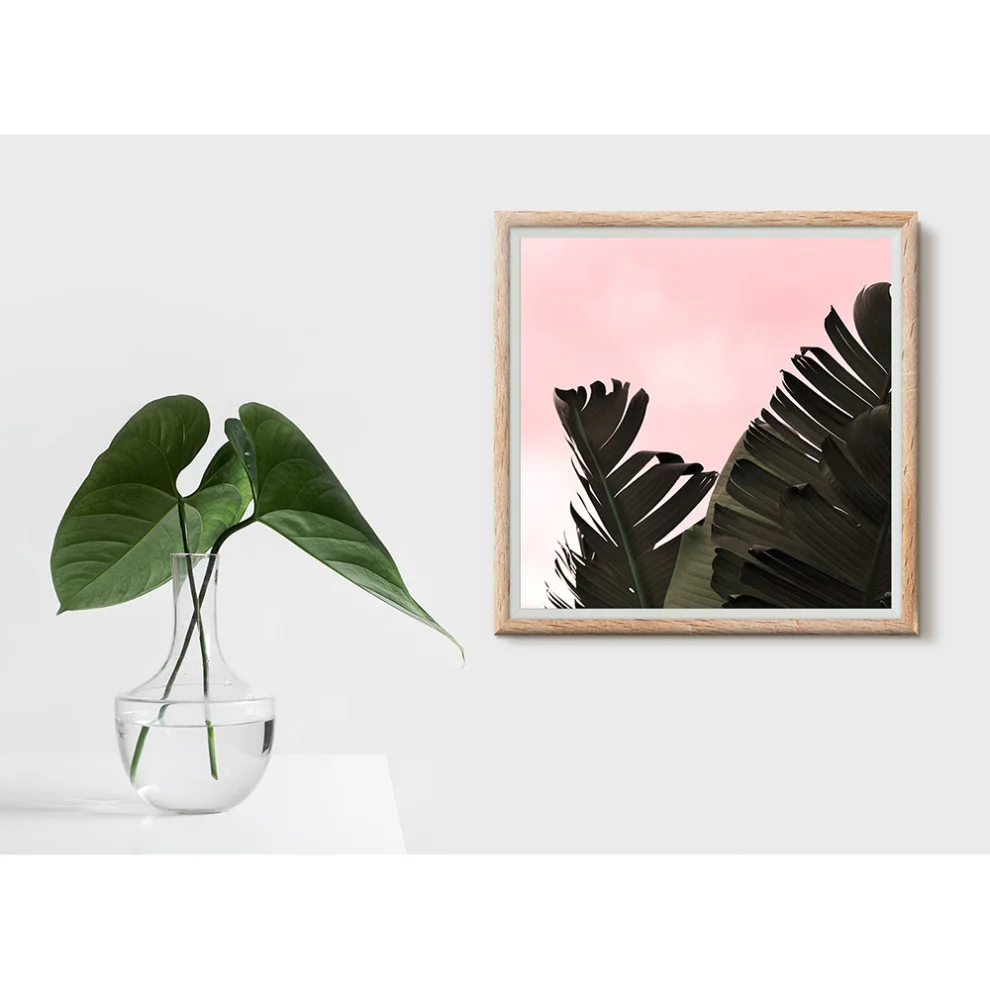 Action Zebra	 - Banana Leaf Art Print