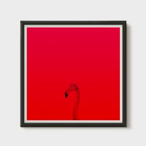 Red Flamingo Poster