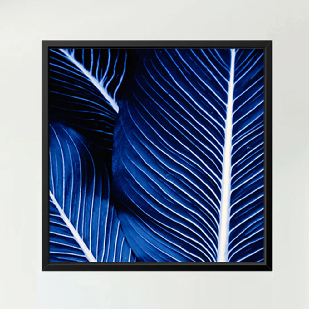 Action Zebra	 - Palm Blue Poster