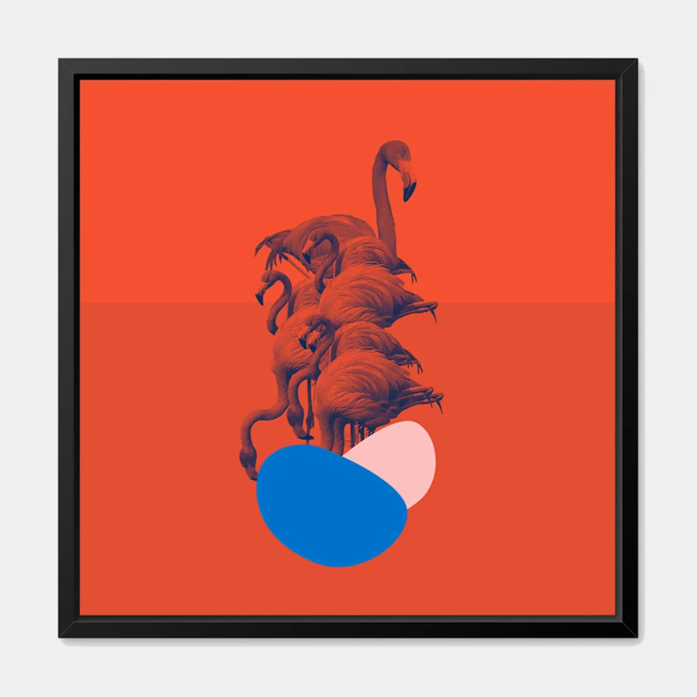 Action Zebra	 - Flamingo  Poster