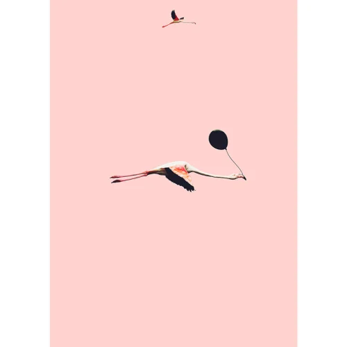 Action Zebra	 - Fly Flamingo Art Print