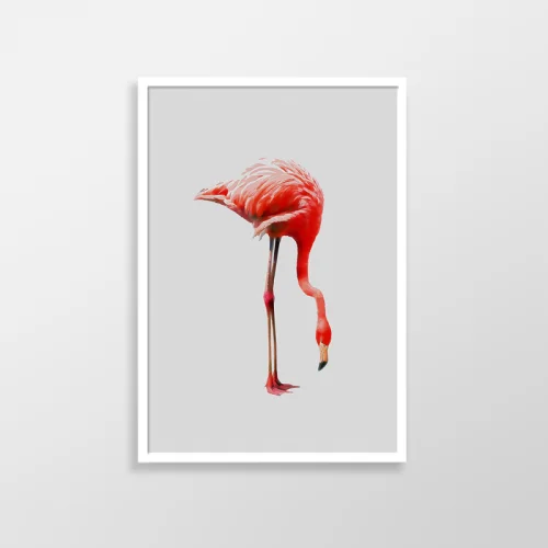 Action Zebra	 - Flamingo Art Print