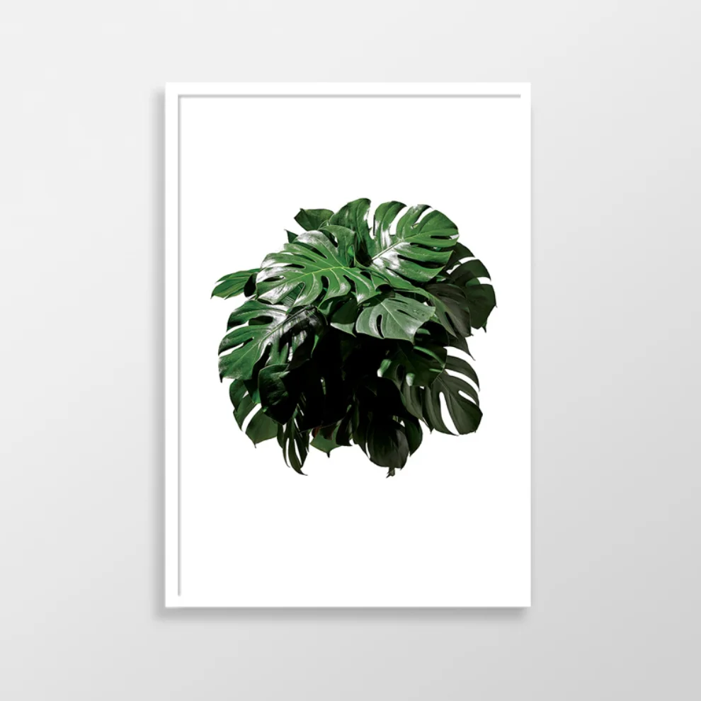 Action Zebra	 - Monstera Poster