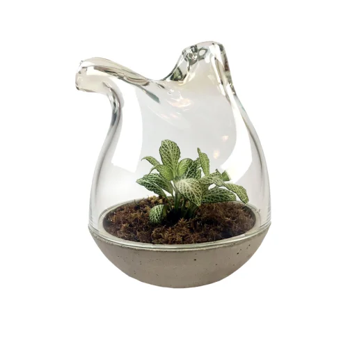 Urban Atölye - Dooble-Dubble Pipe Terrarium