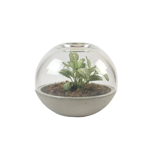 Urban Atölye - Open Terrarium