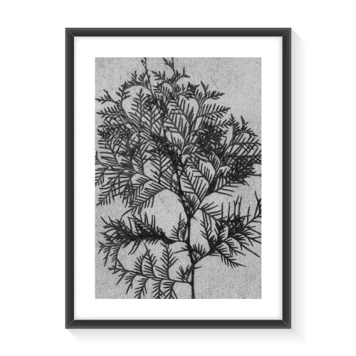 Normmade - Black Fern Print