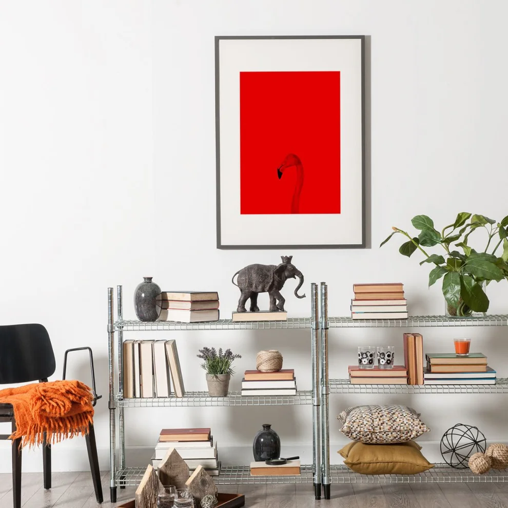 Action Zebra	 - Red Flamingo Poster