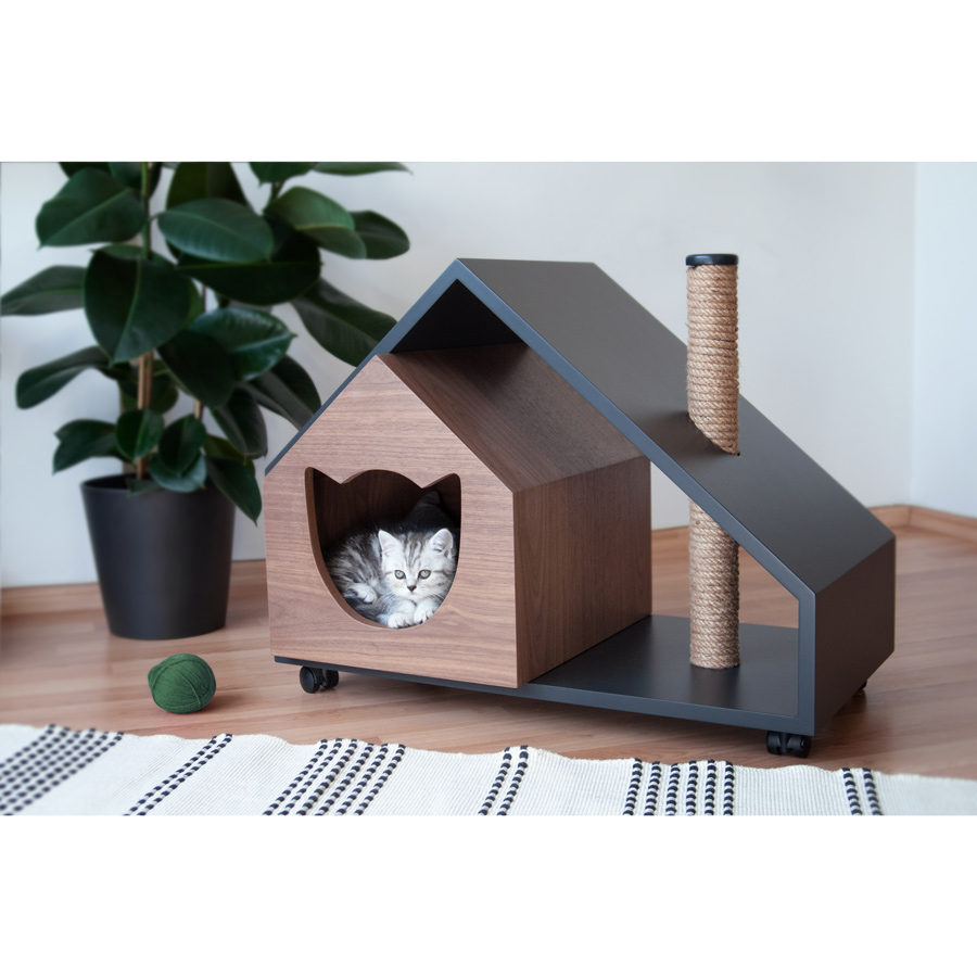 pet ture tory kedi evi hipicon