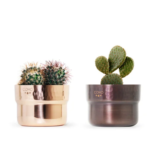 Coho Objet	 - Prime Copper Planter Set of 2