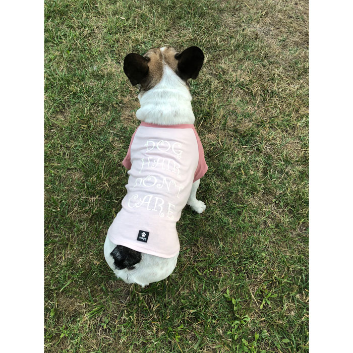 Cream Grey Penny Basic Kedi / Köpek Tişört L hipicon