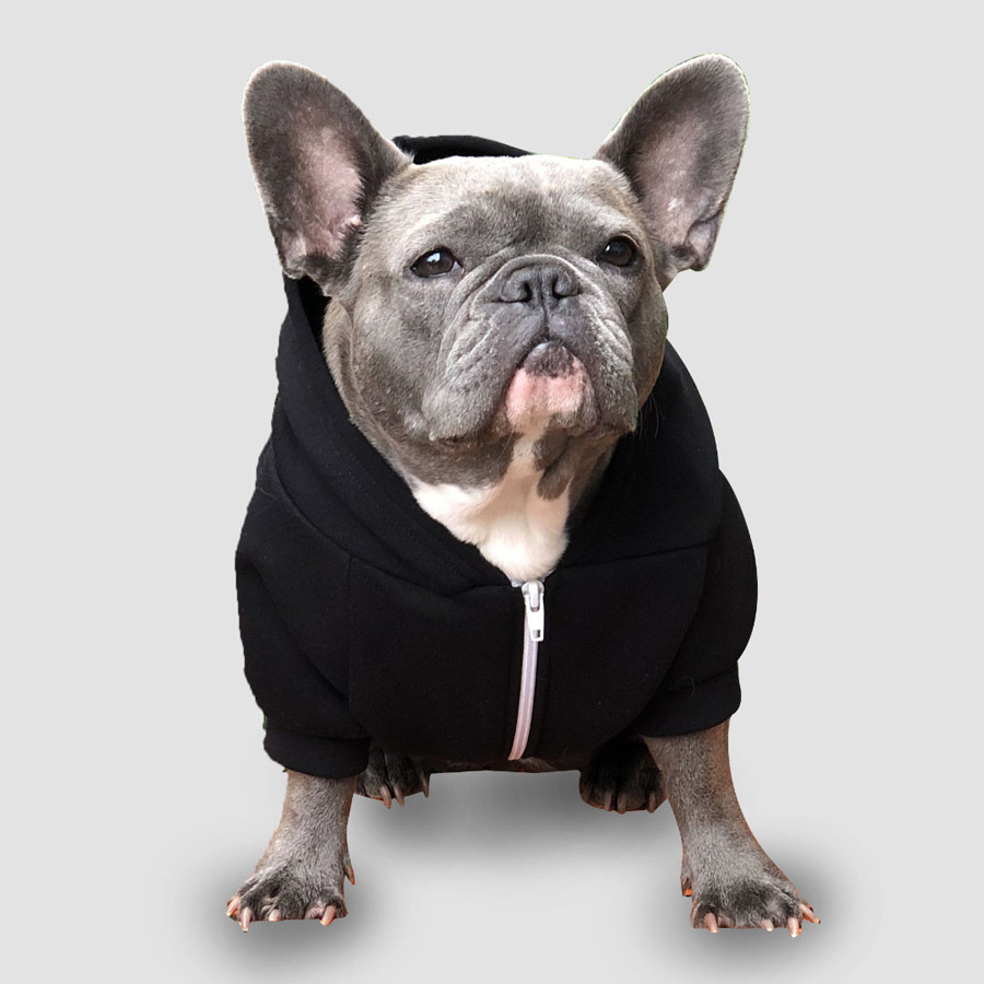 the black dog sweatshirt sale