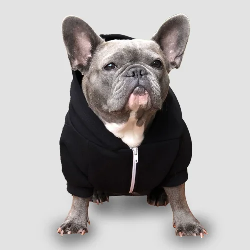 Wuufbox - Black Dog Sweatshirt