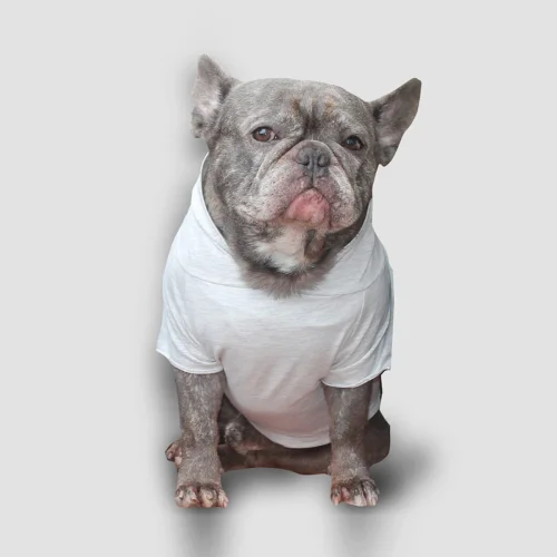 Wuufbox - Grey Dog T-shirt