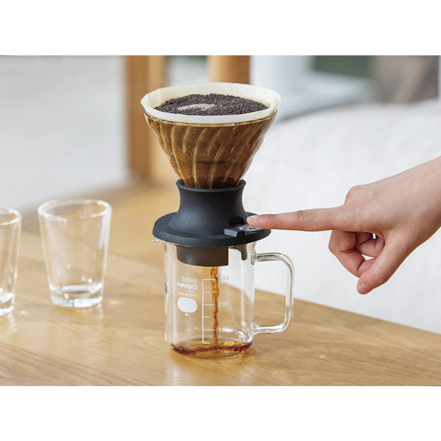 v60 immersion