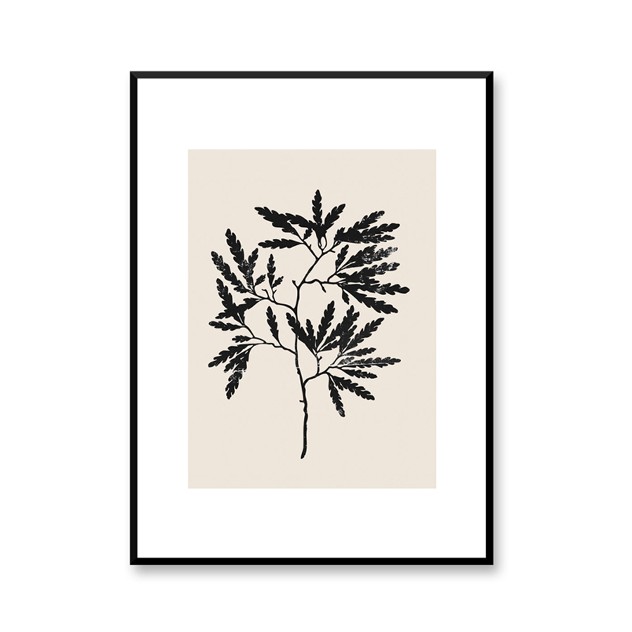 Kospia Poster