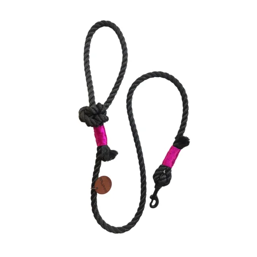 Pawtools - Walk of Fame Rope Leash - Kate