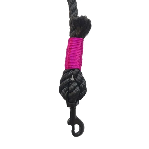 Pawtools - Walk of Fame Rope Leash - Kate