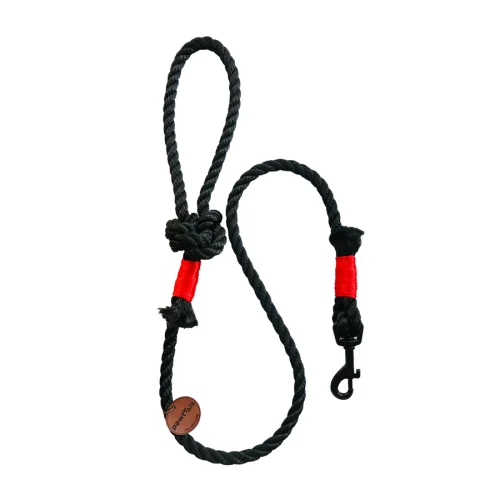 Pawtools - Walk of Fame Rope Leash - Rouge