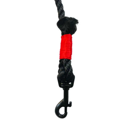 Pawtools - Walk of Fame Rope Leash - Rouge