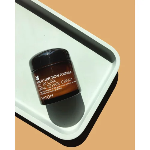 Mizon - All In One Snail Repair Cream