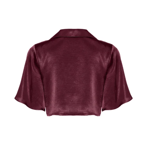 Simple Favor - Flared Sleeve Cropped Shirt