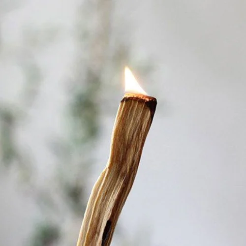 Coho Objet	 - Natural Palo Santo Incense set of 5