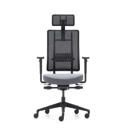 Rapido - X-Trans Office Chair