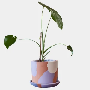 Terracotta Plant Pot