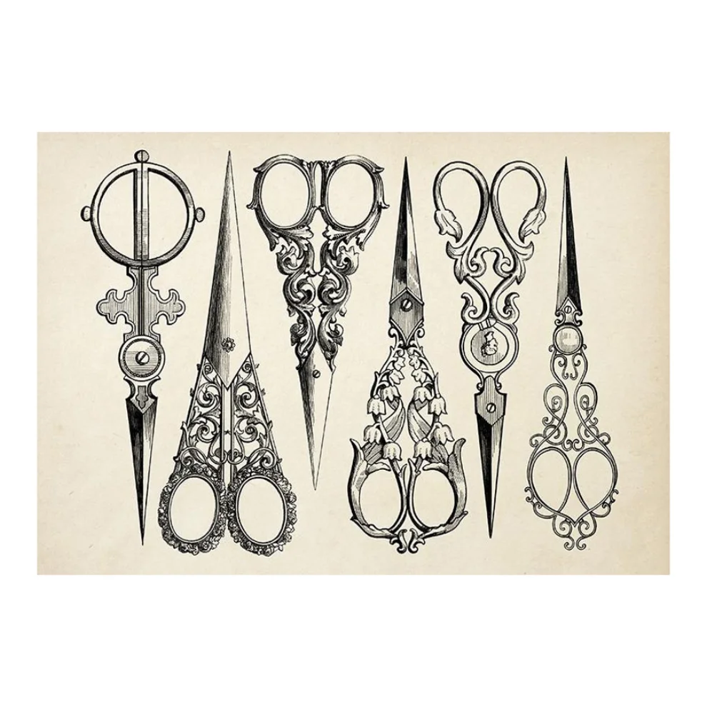 Sauca Collection	 - Scissors Printing