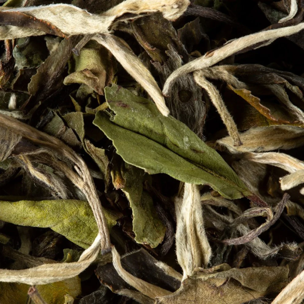 das Stammgast - Kaffeerösterei - Detox White Tea