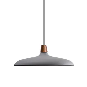 Curve Pendant Lighting