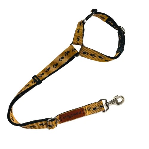 Pawtools - Paws Dog Seat Belt