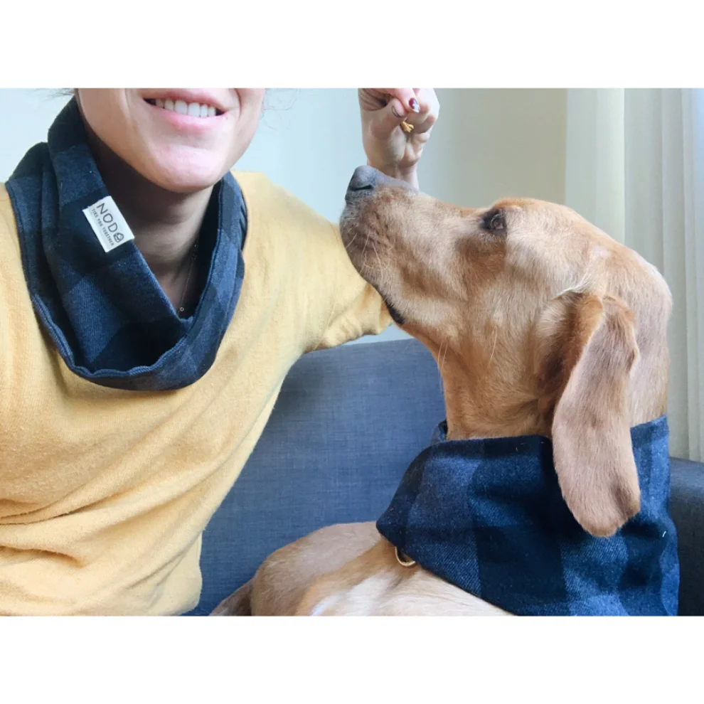 Nodo İstanbul - Dog NeckWarmer