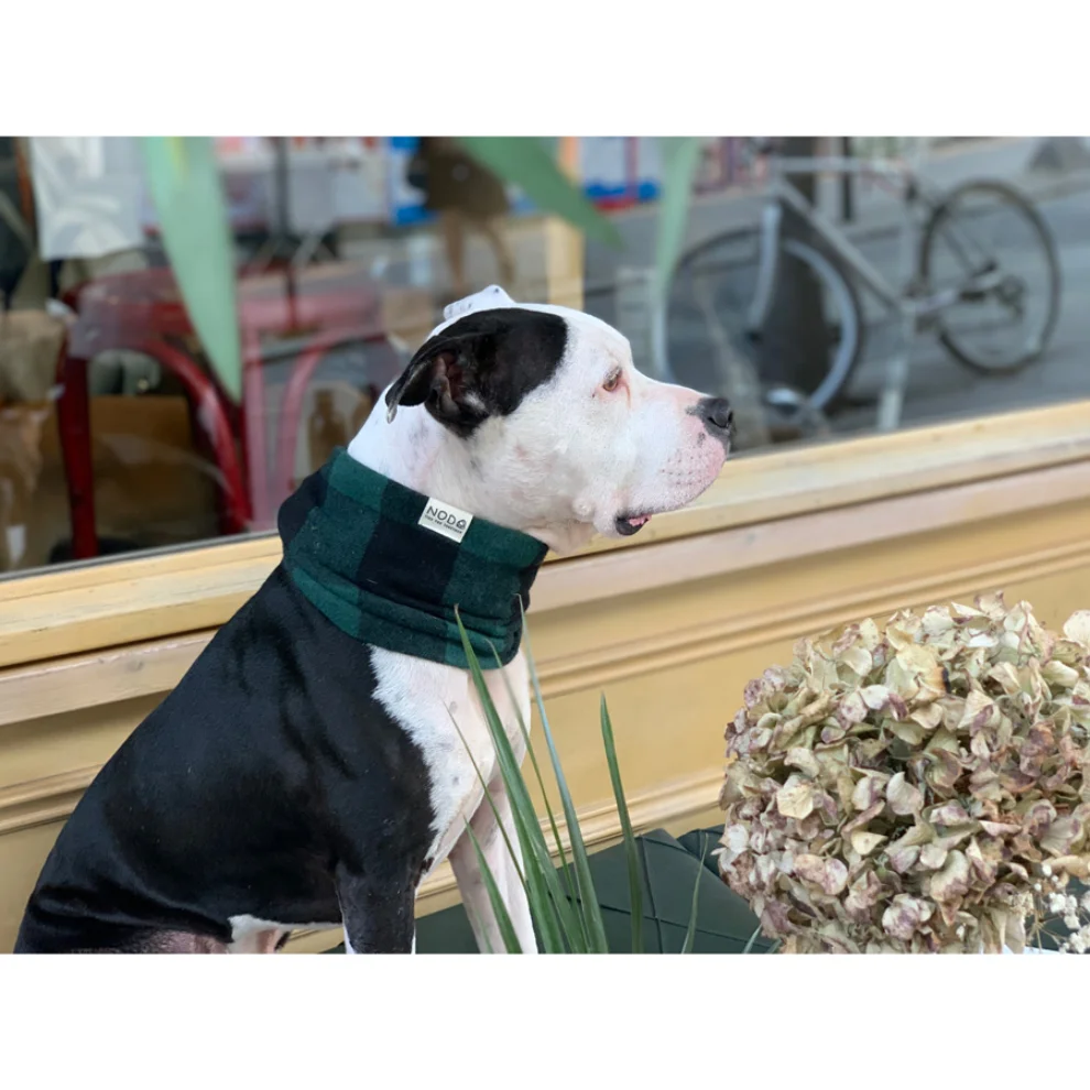 Nodo İstanbul - NeckWarmer Köpek Aksesuarı