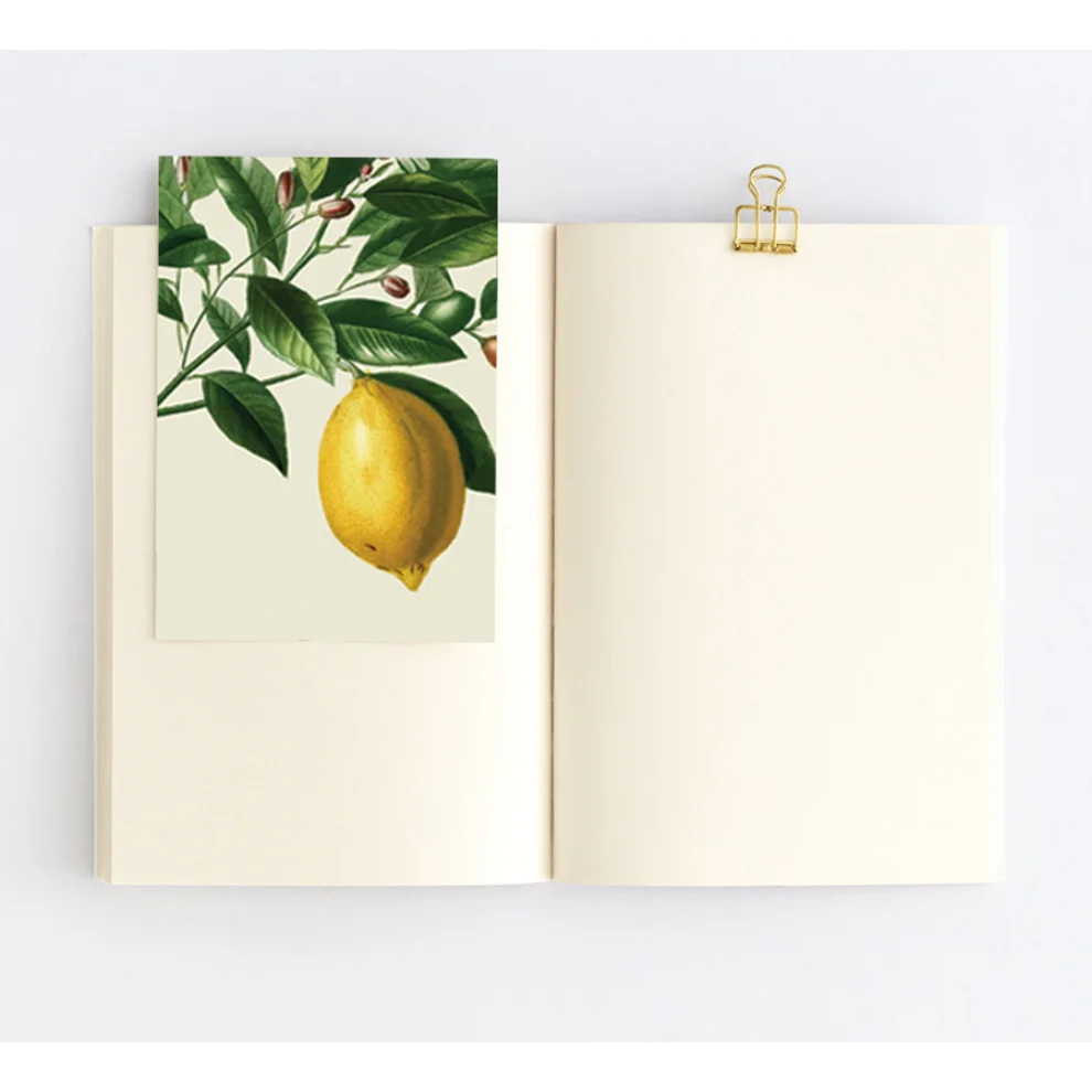 Paper Street Co. - Citrus Limon - Defter 