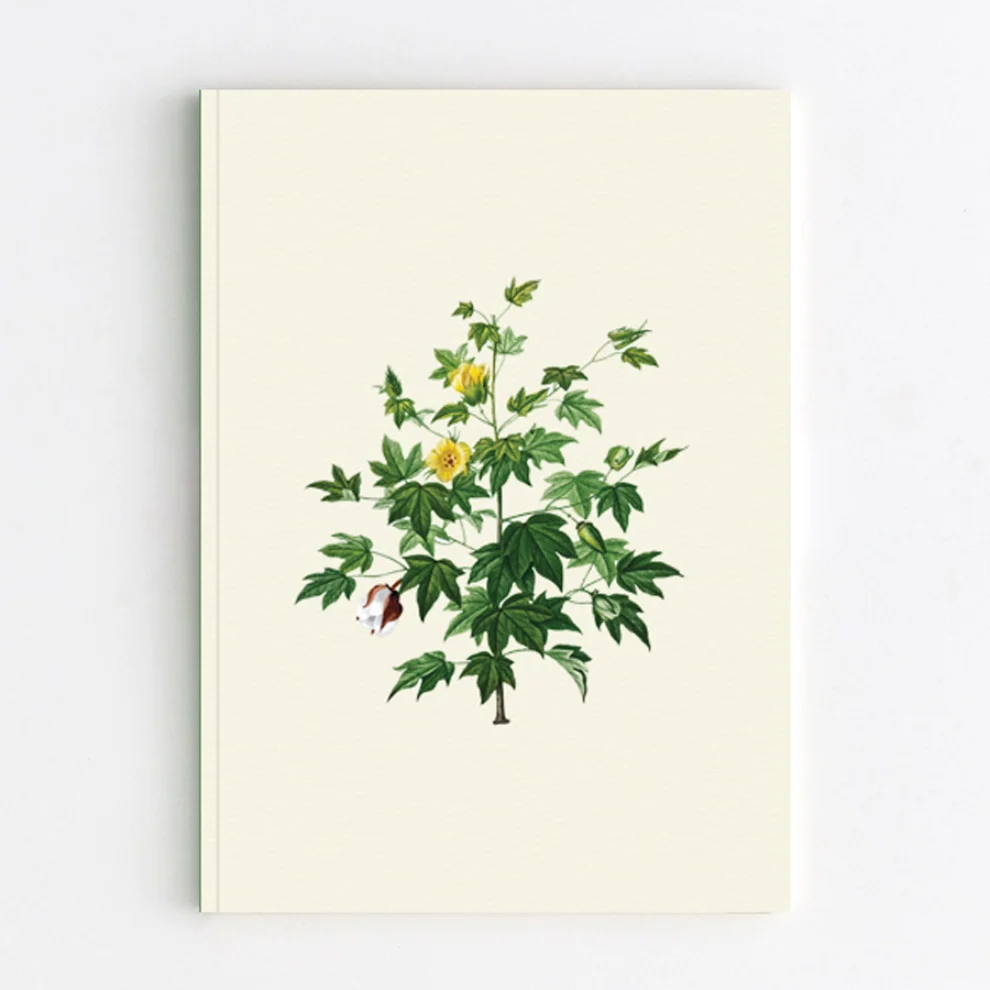 Paper Street Co. - Gossypium Barbadense - Notebook