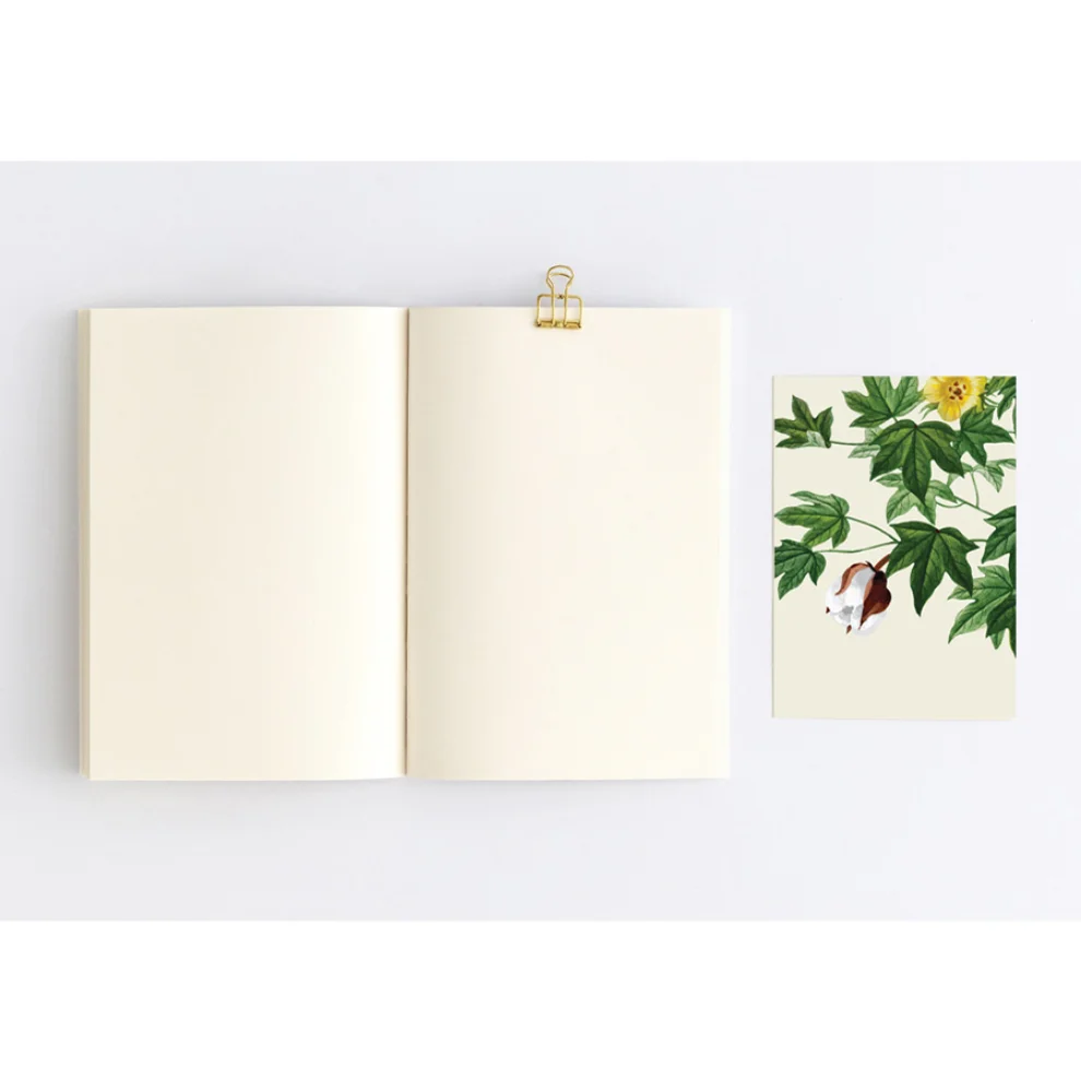 Paper Street Co. - Gossypium Barbadense - Notebook