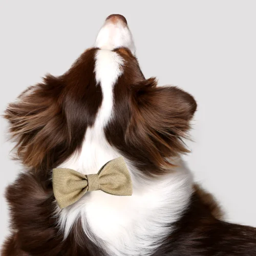 Asky&Erd Pet Stuff Co. - Linen Bowtie