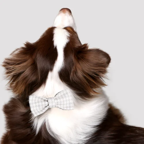 Asky&Erd Pet Stuff Co. - Crowbar Pattern Linen Bowtie