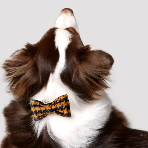 Asky&Erd Pet Stuff Co. - Crowbar Pattern Linen Bowtie