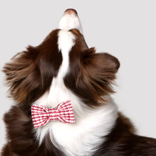 Asky&Erd Pet Stuff Co. - Striped Bowtie