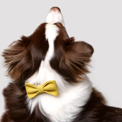 Asky&Erd Pet Stuff Co. - Linen Bowtie