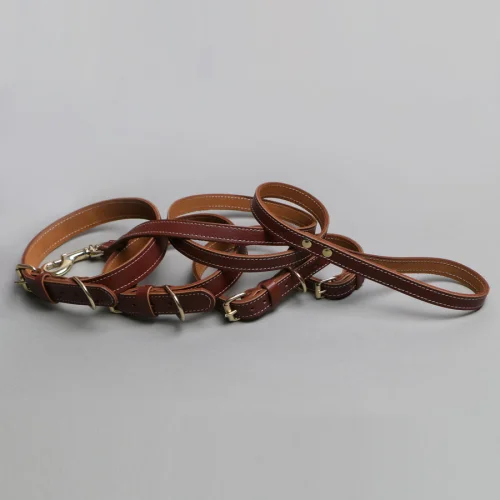 Asky&Erd Pet Stuff Co. - Tan Leather Collar