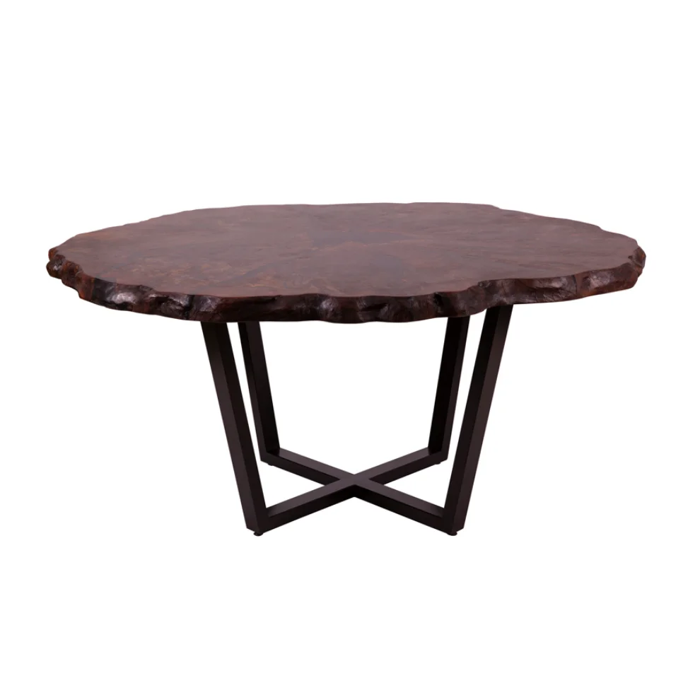 ARTKAP - American Root Walnut Coffe Table 