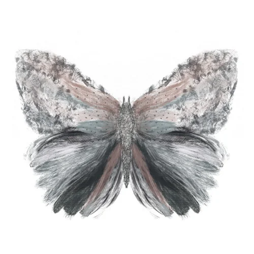 Meral Bilkay Art & Design Studio - Butterfly 01 Fine Art Printing