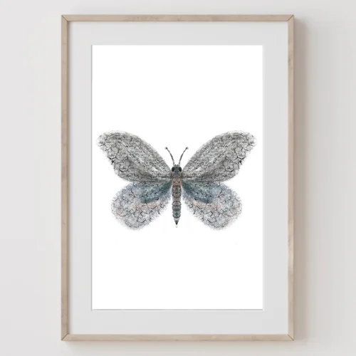 Meral Bilkay Art & Design Studio - Butterfly 02 Fine Art Printing